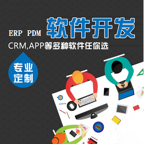 軟件開發(fā)定制