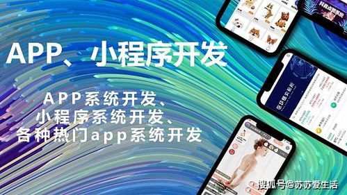 軟件定制開發(fā)對(duì)企業(yè)有哪些好處 軟件定制開發(fā)丨商城系統(tǒng)開發(fā)